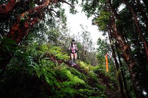 BIB: 
                            <button type="button" onclick="openModal(26205344)" class="btn btn-primary btn-sm float-right btn-popup" data-toggle="modal" data-target=".modal-high-quality">
                        <i class="fas fa-shopping-cart"></i> Add to Cart
                    </button>
                                            <button type="button" onclick="isThisMe(26205344, true)" class="btn btn-success btn-sm float-right btn-popup btn-isme hidden" data-toggle="tooltip" data-placement="bottom" title="นี่คือรูปของคุณใช่ไหม คลิกที่นี่เพื่อเอาเข้าอัลบั้ม">
                        <i class="fas fa-plus"></i> Add to album
                    </button>
                    <button type="button" onclick="isThisMe(26205344, false)" class="btn btn-warning btn-sm float-right btn-popup btn-isnotme hidden">
                        <i class="fas fa-ban"></i> Remove from album
                    </button>